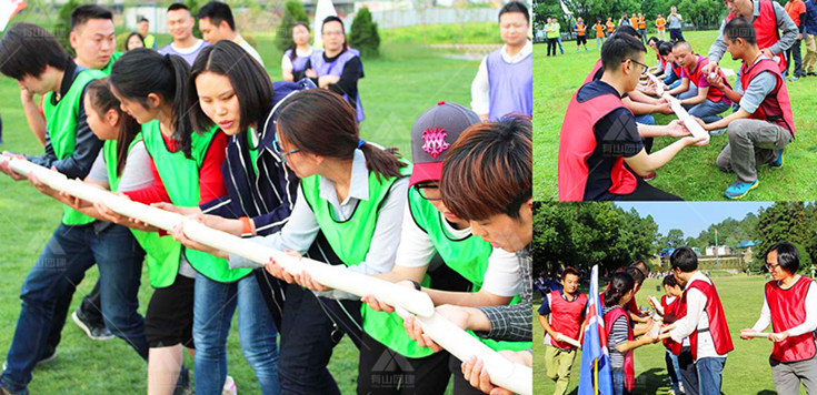 铸魂·建功·育英打造赋能青年成长、服务电网发展的“青春堡垒”