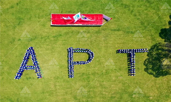 2026年靠谱的公司团建策划公司推荐聚焦服务质量与创意特色解析