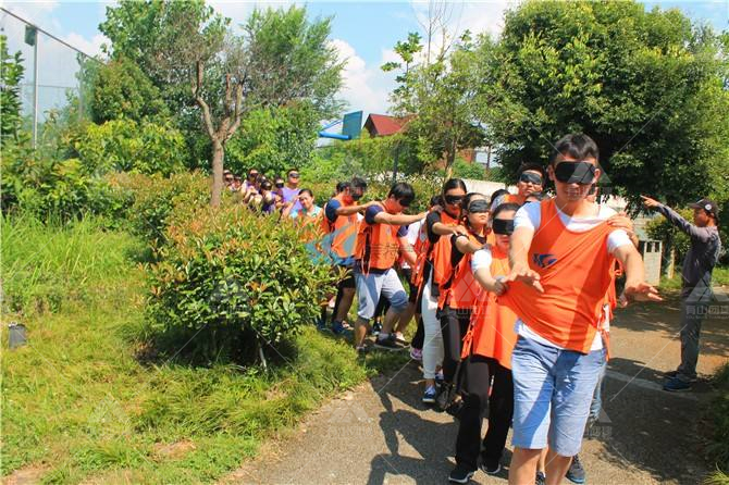 鹤岗市兴安区：以党建“领航”让团建“扬帆”