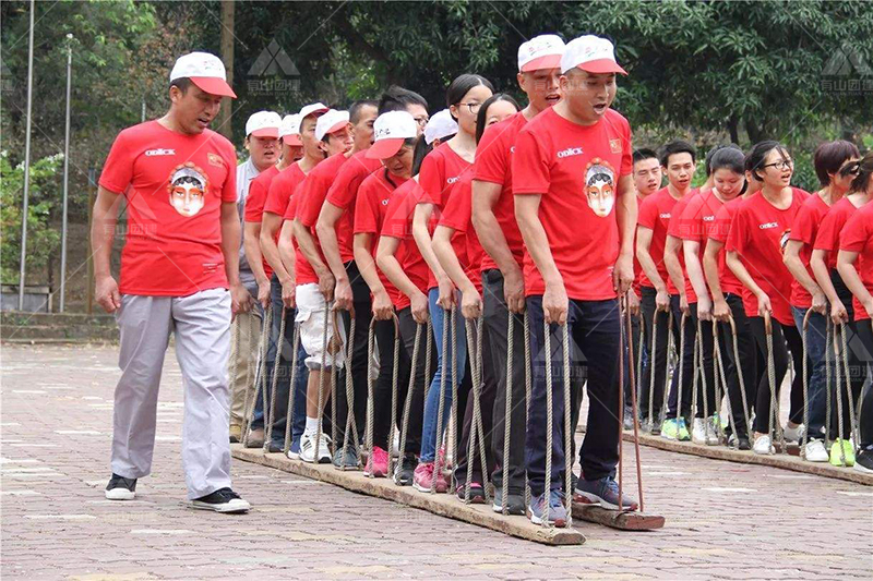 初灵信息(300250)